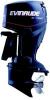 Evinrude E50DPL
